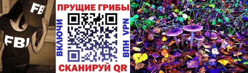 Псилоцибиновые грибы GOLDEN TEACHER  как найти   Богданович 